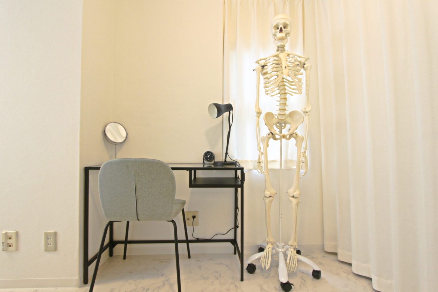 テーブルと骨模型