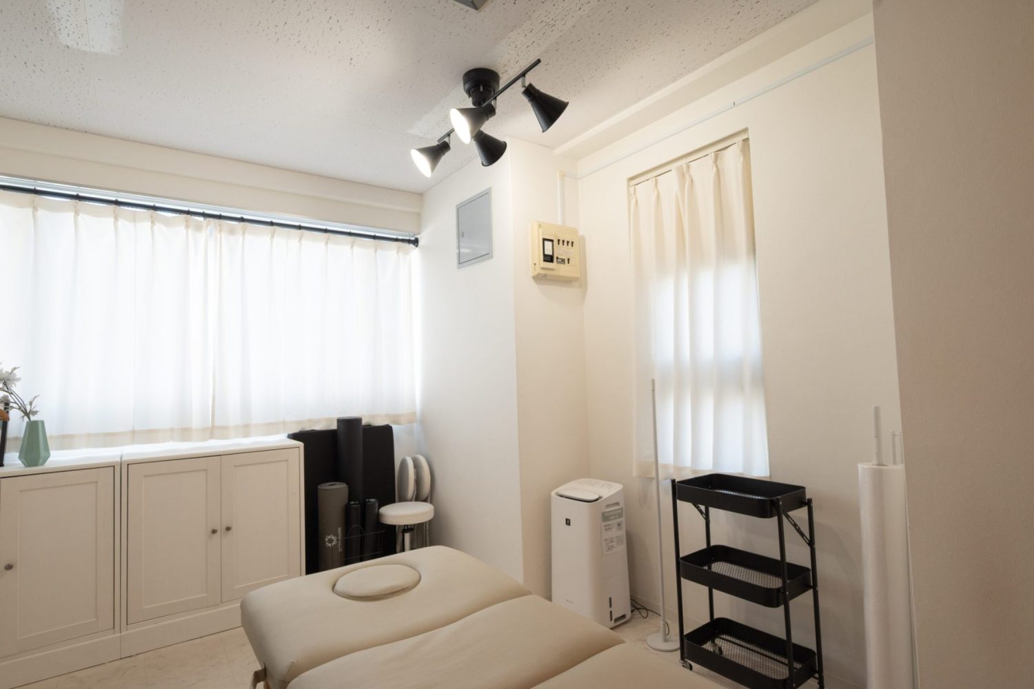 天井調光ライト（昼白色）